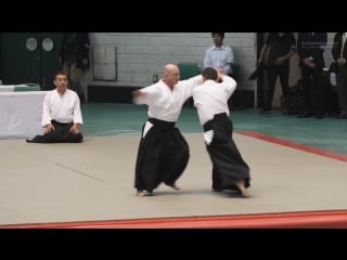 Aikido yokota yoshiaki 56th all japan aikido demonstration 2018