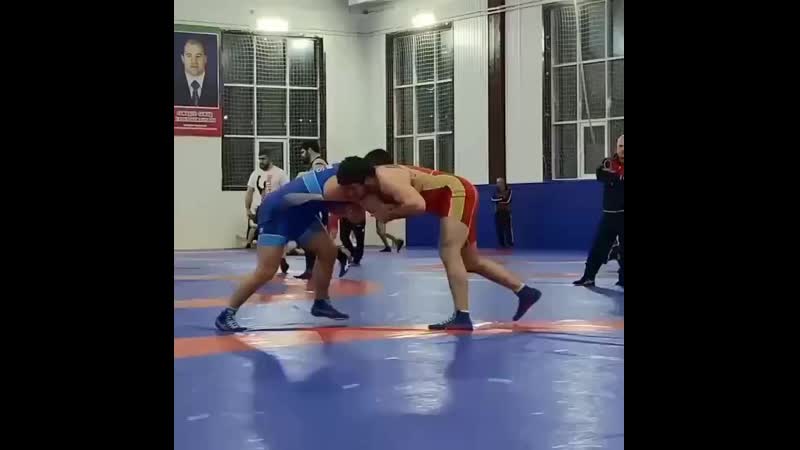 Wrestling borba
