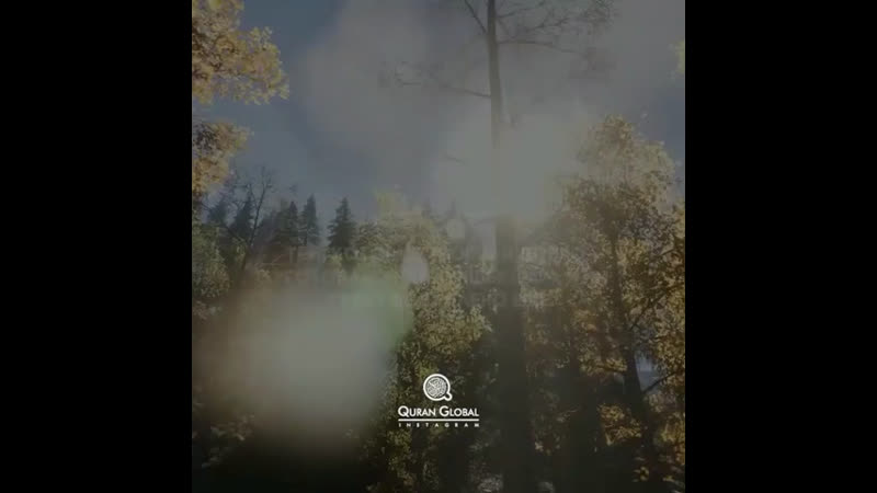 Ахмад нуфайс