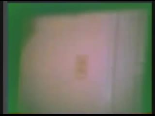 Possibly in michigan (1983) ceceliacondit