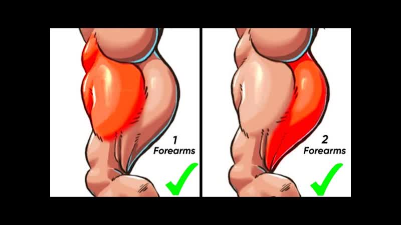 Супер тренироа предплечий