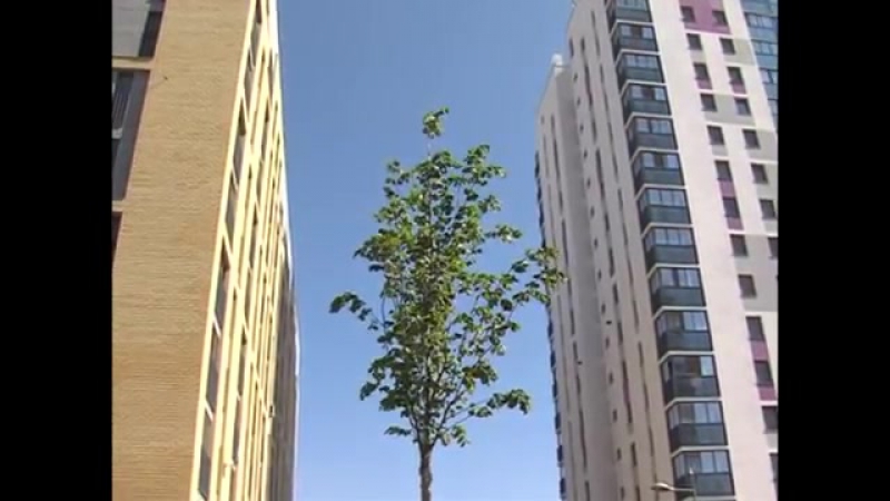 Микрорайон "видный"