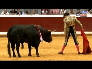 Toros desde san sebastián semana grande toros de zalduendo para sebastián castella, alejandro talavante y roca rey 2016 08 15