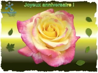 Joyeux anniversaire