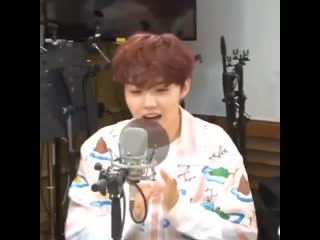 He introduced himself as a tokki bunny mp4