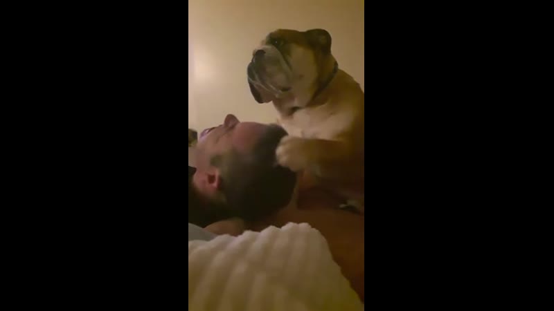 Лежать, я сказал!