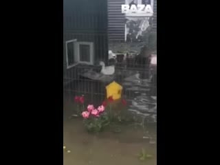 Потом в нахабино