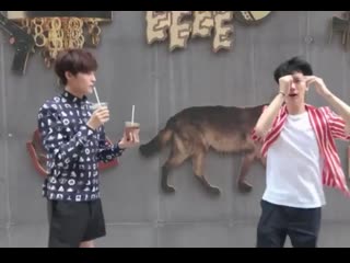 Yangyang and tens great teamwork