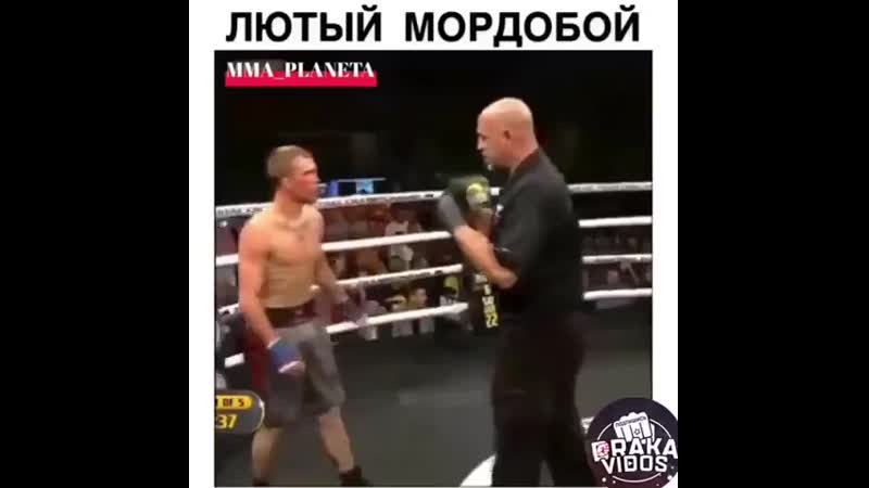 Жесткий мордобой