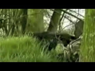 Ira vs brits shootouts