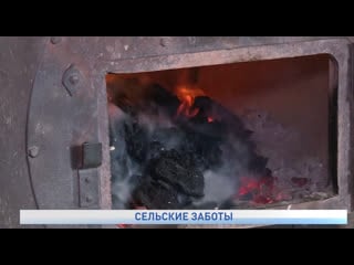 Сельские заботы