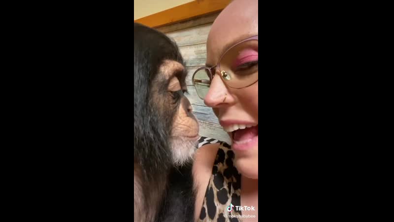 Молодые порно мартышка макака мавпа горила примат мавпун