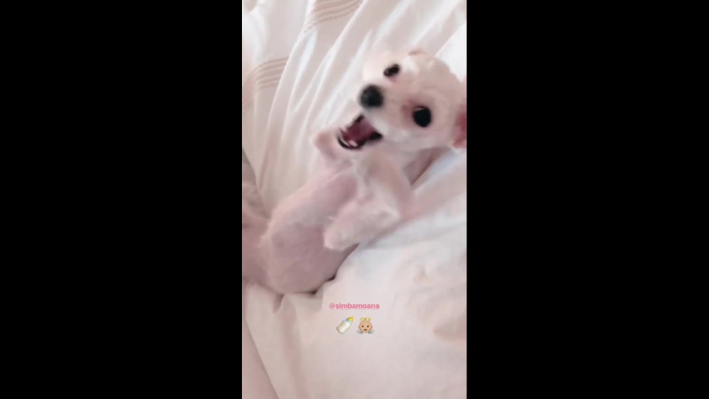 Bensu soral ig stories 06 01 18