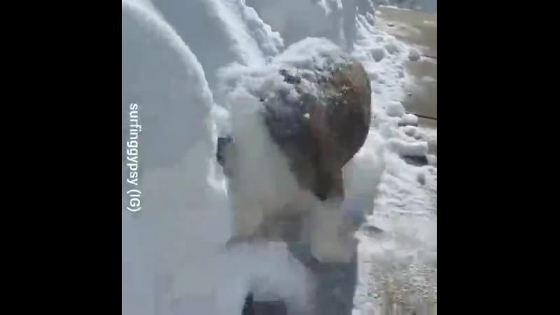 Дайте мне еще этой дряни!