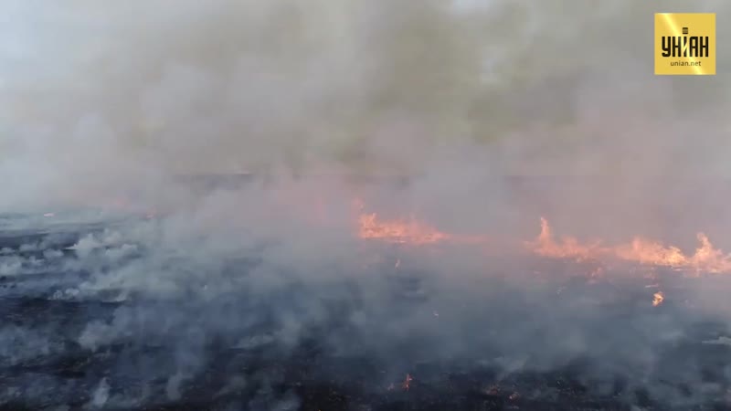 Пожежі в росії можуть спричинити екологічну катастрофу на континенті