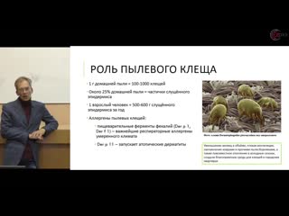 Алексей яковлев эпидемия аллергий