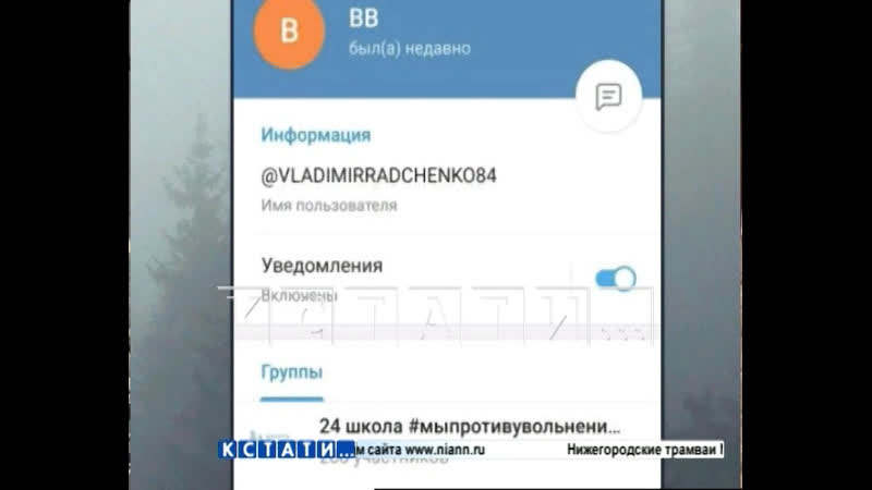 Мужчина, с именем главы департамента образования под видом женщины внедрился в родительский чат и провалился