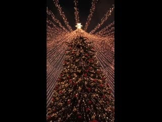 Video 20201221 170423 mp4