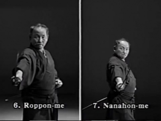 Iaido kata seitei 07 nanahon me sampo giri high quality