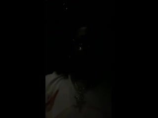 Gunna & yak gotti wunna flo [snippet]