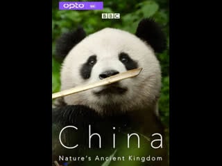 Китай древнее царство природы china nature's ancient kingdom серия 2