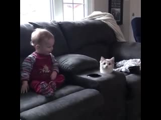 Irresponsible toddler banishes innocent cat to the fucking shadow realm