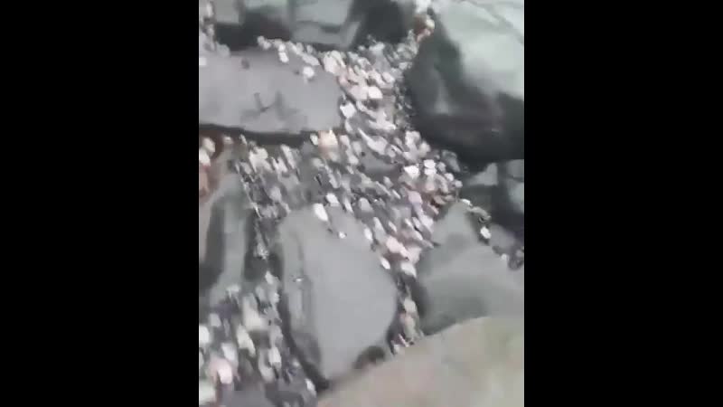 Пляжи камчатки экологическая катастрофа