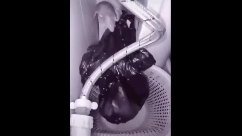 Живёшь одна сунула пакет утром нет пакета ещё один сунула опять нет так и чокнуться можно