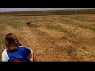 Trim 20200629 115118