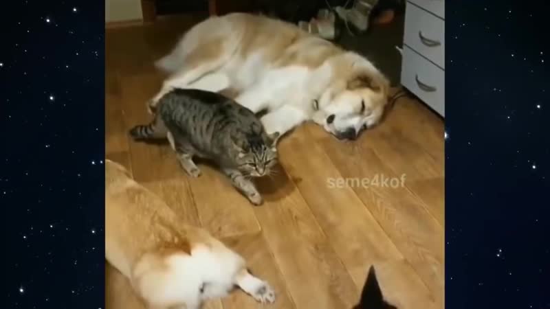 Нет права на ошибку