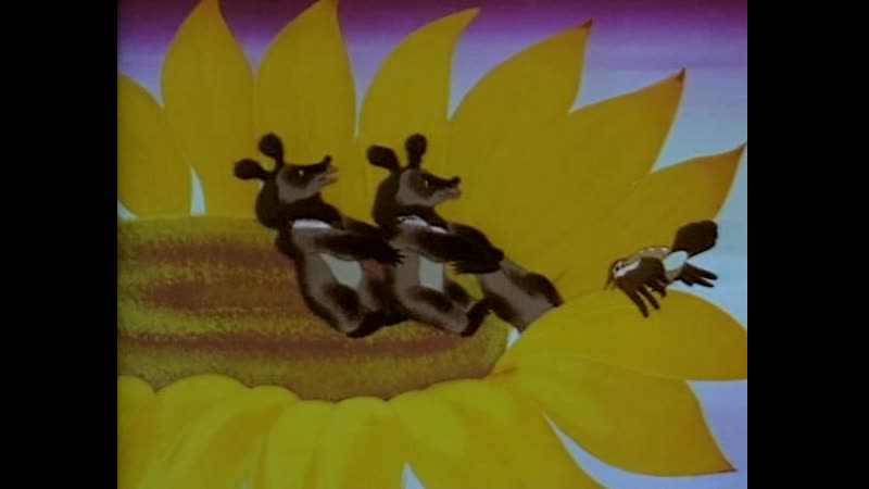 Тигренок на подсолнухе