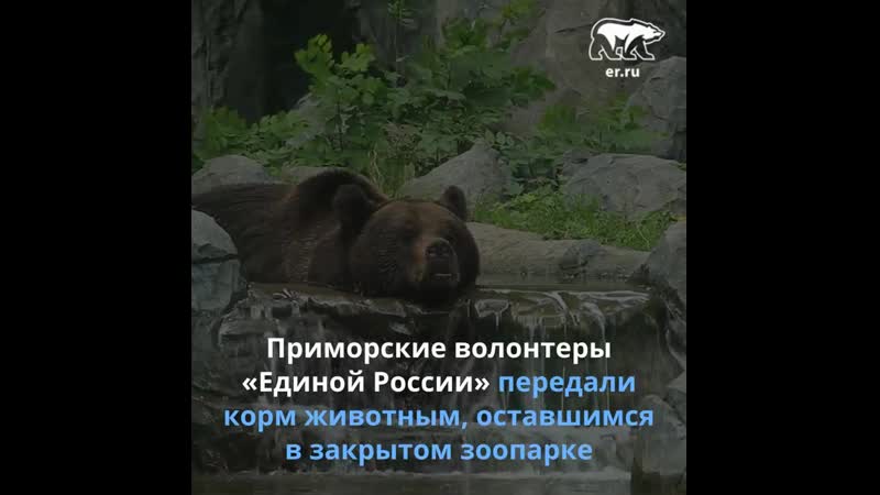 «единая россия» помогла зоопарку