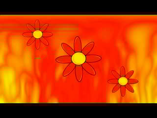 Wild for my youthfull nephew