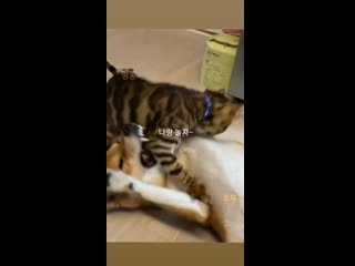 Cg seyoung insta story 181220