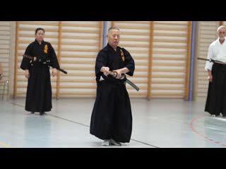 21 soke muso jikiden eishin ryu iaijutsu sekiguchi sensei inadzuma henka wadza