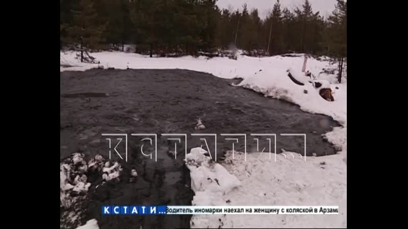 Грязная правда за красивым фасадом экологическое преступление зафиксировали скрытой камерой