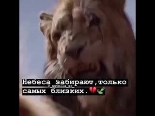 Мокрый виноград🍇