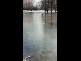 Видео от юлии монастырской