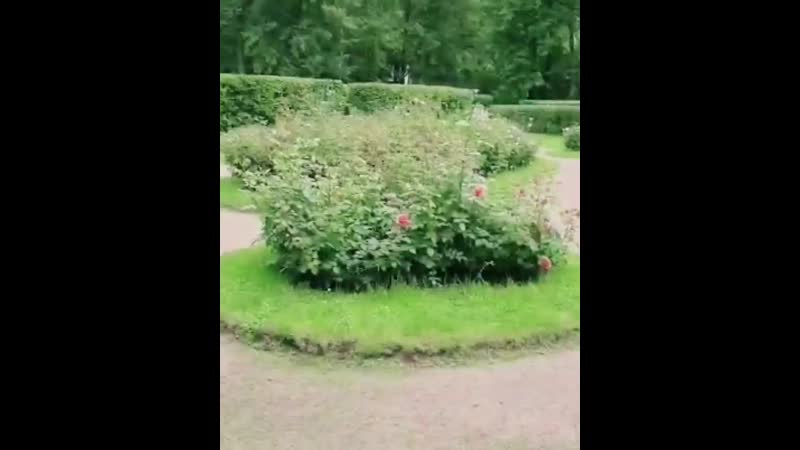 H&amp;a backstage со съемок коллекции "white angel" дизайнера татьяны дербеневой павловск