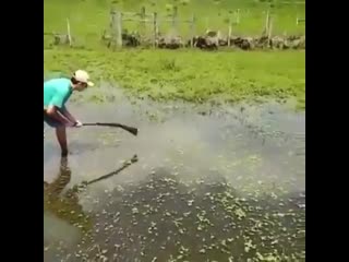 Самоуничтожение cfvjeybxnj;tybt