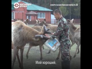 Самый молодой егерь в заповеднике