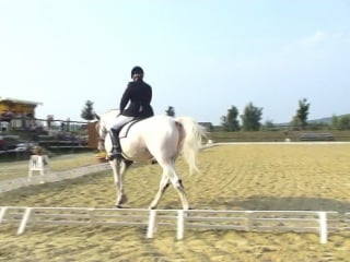 Lubbe ann cathrin zanko