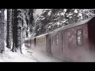 [videogamedunkey] funny birds have a sword fight with their beaks rofl