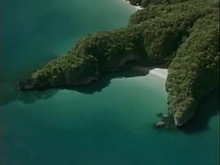 Повторное открытие мира #33 палаван последнее убежище