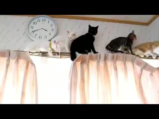 Jikook by porn ⁺¹⁸