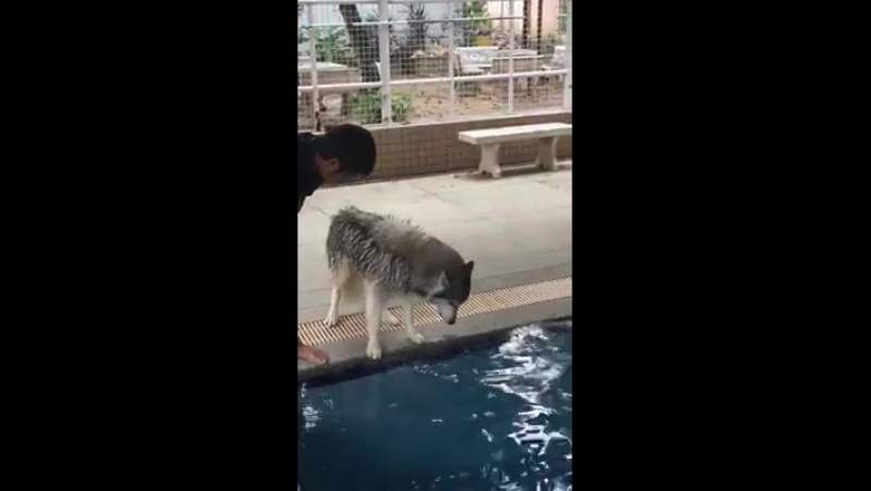 Учим плавать молодые