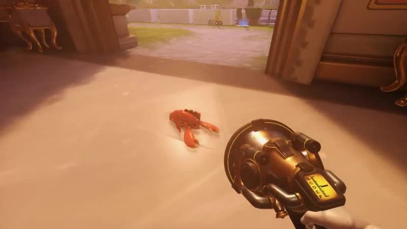 Be free, lobster friend!