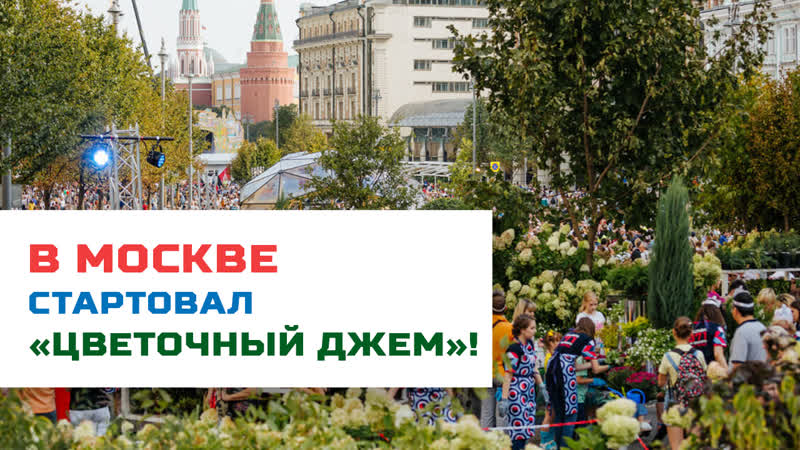 В москве стартовал фестиваль «цветочный джем»