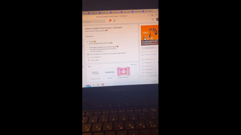 Live mishki gammi розыгрыши / giveaway