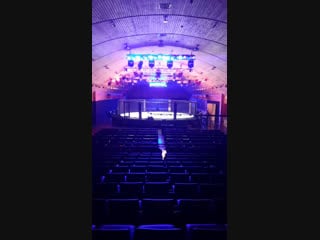 Berkut young eagles live